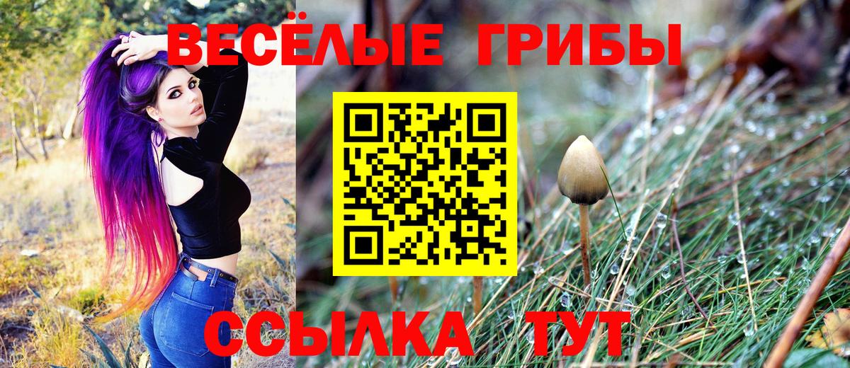Галлюциногенные грибы ЛСД  Галлюциногенные грибы Cubensis  Мичуринск  Вход с VPN 